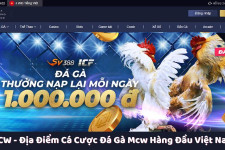 MCW - Địa Điểm Cá Cược Đá Gà Mcw Hàng Đầu Việt Nam